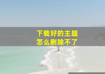 下载好的主题怎么删除不了