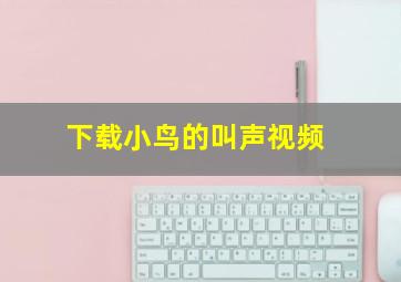 下载小鸟的叫声视频