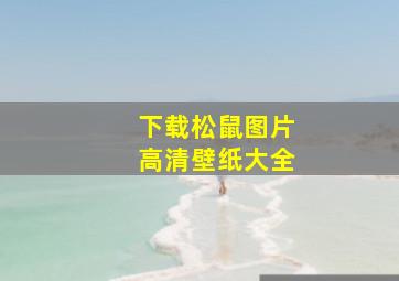 下载松鼠图片高清壁纸大全