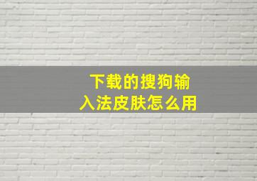 下载的搜狗输入法皮肤怎么用