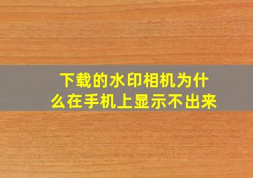 下载的水印相机为什么在手机上显示不出来