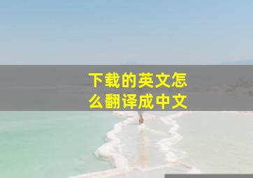 下载的英文怎么翻译成中文