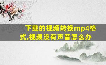 下载的视频转换mp4格式,视频没有声音怎么办