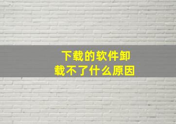 下载的软件卸载不了什么原因