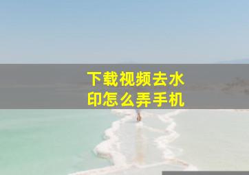 下载视频去水印怎么弄手机