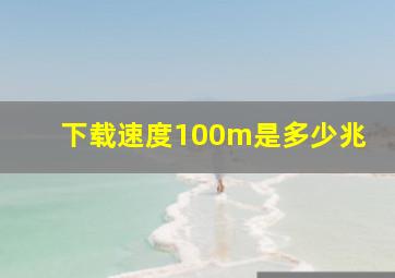 下载速度100m是多少兆