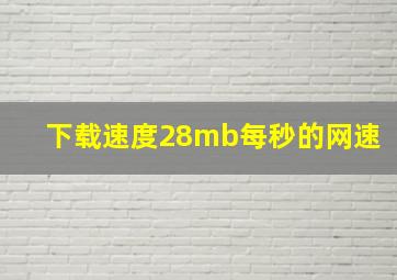 下载速度28mb每秒的网速