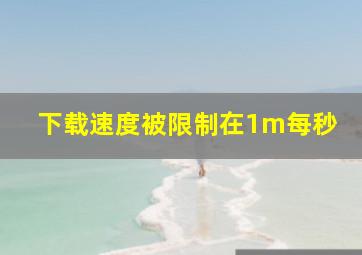 下载速度被限制在1m每秒