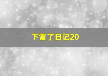 下雪了日记20