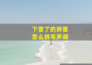 下雪了的拼音怎么拼写声调