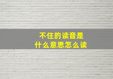 不住的读音是什么意思怎么读