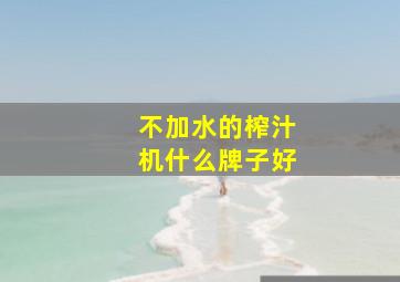 不加水的榨汁机什么牌子好