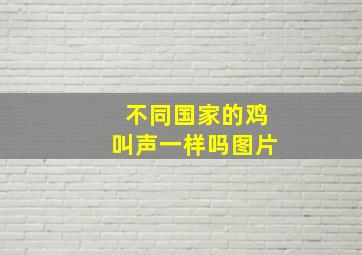 不同国家的鸡叫声一样吗图片