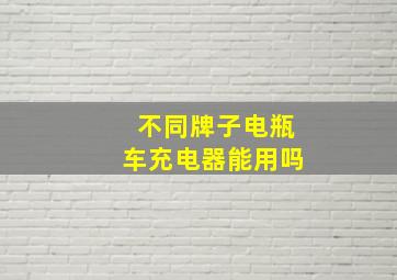 不同牌子电瓶车充电器能用吗