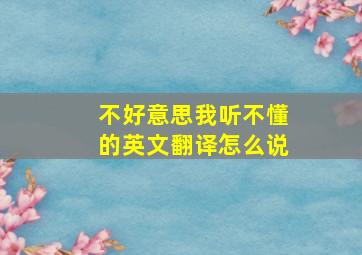 不好意思我听不懂的英文翻译怎么说