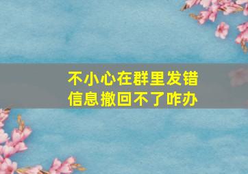 不小心在群里发错信息撤回不了咋办