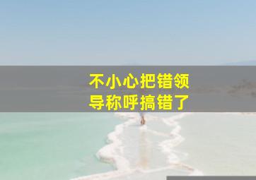 不小心把错领导称呼搞错了