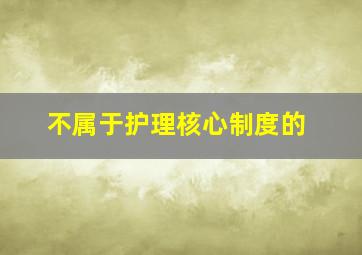 不属于护理核心制度的