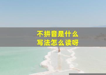 不拼音是什么写法怎么读呀