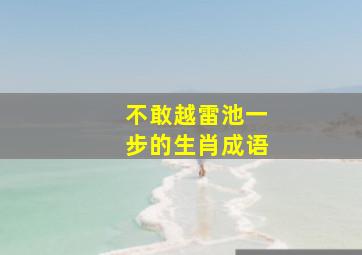 不敢越雷池一步的生肖成语