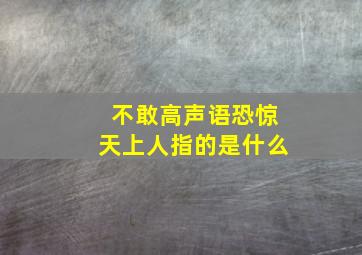 不敢高声语恐惊天上人指的是什么