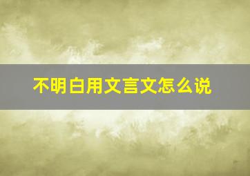 不明白用文言文怎么说