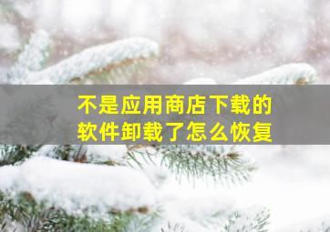 不是应用商店下载的软件卸载了怎么恢复