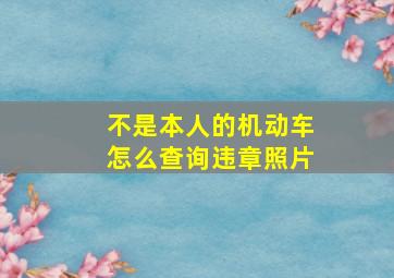 不是本人的机动车怎么查询违章照片