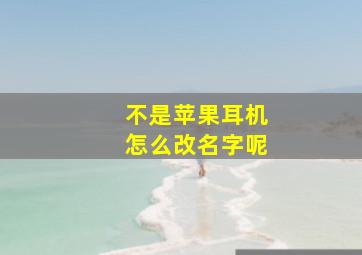 不是苹果耳机怎么改名字呢