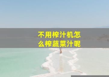 不用榨汁机怎么榨蔬菜汁呢