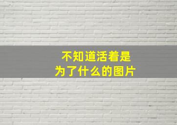 不知道活着是为了什么的图片