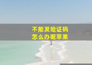 不能发验证码怎么办呢苹果