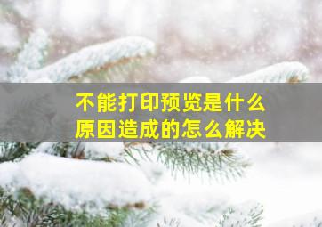 不能打印预览是什么原因造成的怎么解决