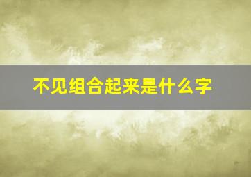 不见组合起来是什么字