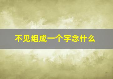 不见组成一个字念什么