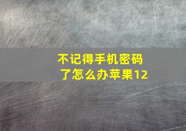 不记得手机密码了怎么办苹果12