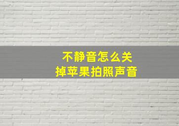 不静音怎么关掉苹果拍照声音