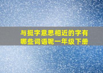 与挺字意思相近的字有哪些词语呢一年级下册