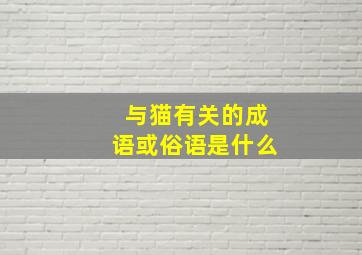 与猫有关的成语或俗语是什么