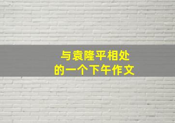 与袁隆平相处的一个下午作文