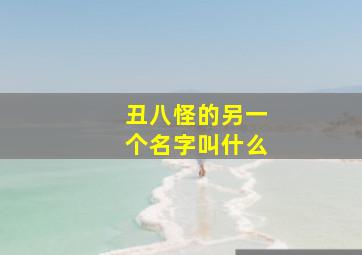 丑八怪的另一个名字叫什么