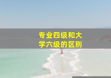 专业四级和大学六级的区别