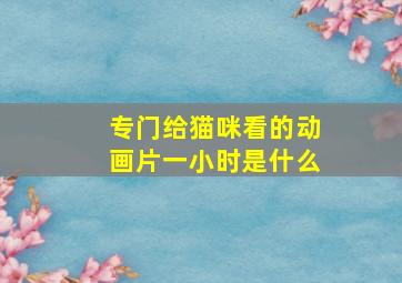 专门给猫咪看的动画片一小时是什么