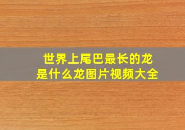 世界上尾巴最长的龙是什么龙图片视频大全