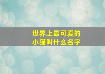 世界上最可爱的小猫叫什么名字