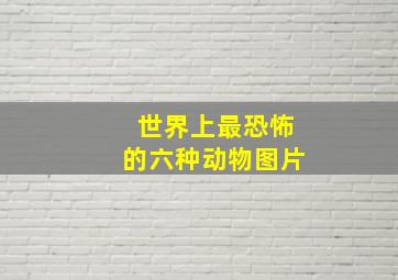 世界上最恐怖的六种动物图片