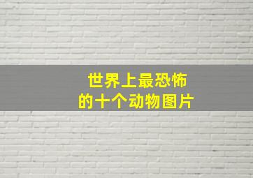 世界上最恐怖的十个动物图片