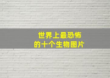 世界上最恐怖的十个生物图片