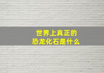 世界上真正的恐龙化石是什么