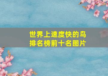 世界上速度快的鸟排名榜前十名图片